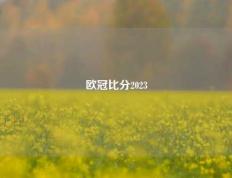欧冠比分2023