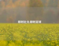 即时比分,即时足球