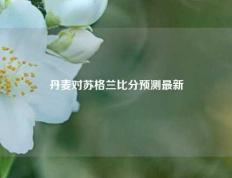 丹麦对苏格兰比分预测最新