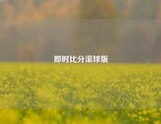 即时比分滚球版