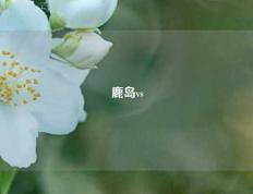 鹿岛vs