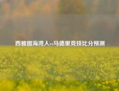 西雅图海湾人vs马德里竞技比分预测