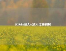 2020nba湖人vs热火比赛视频