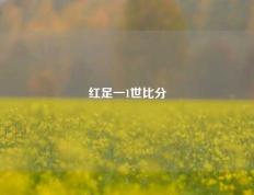 红足一1世比分