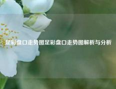 足彩盘口走势图足彩盘口走势图解析与分析