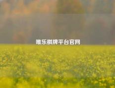 唯乐棋牌平台官网