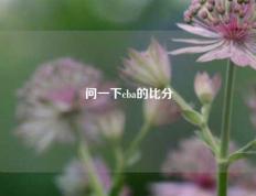 问一下cba的比分