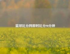 篮球比分网即时比分90分钟