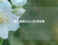 俄乙赛程比分11月4号结果