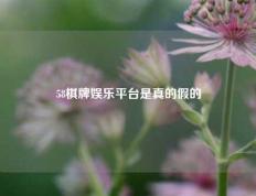 58棋牌娱乐平台是真的假的
