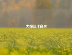 大嘴篮球合买