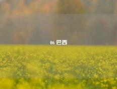 06 巴西