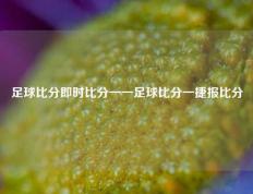 足球比分即时比分一一足球比分一捷报比分