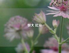恒大 比分