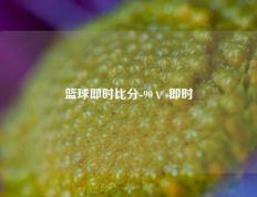 篮球即时比分-90ⅴs即时