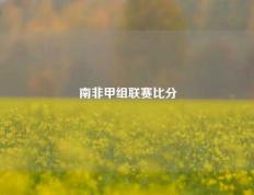 南非甲组联赛比分