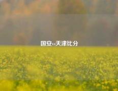 国安vs天津比分