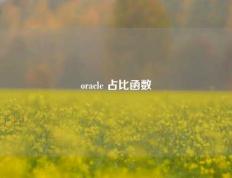oracle 占比函数