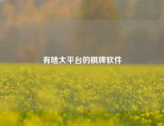 有啥大平台的棋牌软件