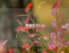 即嗨比分3.4.3