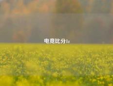 电竞比分1z