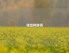 球信网体育