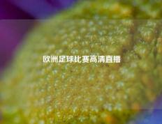 欧洲足球比赛高清直播
