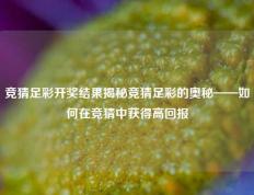 竞猜足彩开奖结果揭秘竞猜足彩的奥秘——如何在竞猜中获得高回报
