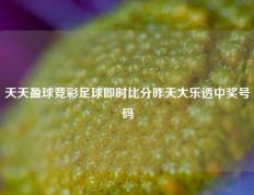天天盈球竞彩足球即时比分昨天大乐透中奖号码