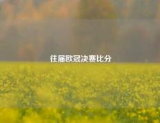 往届欧冠决赛比分