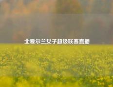 北爱尔兰女子超级联赛直播