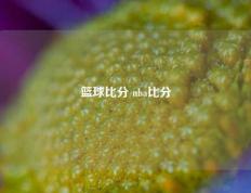 篮球比分 nba比分