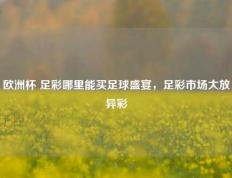 欧洲杯 足彩哪里能买足球盛宴，足彩市场大放异彩