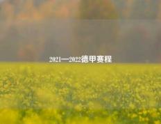 2021—2022德甲赛程