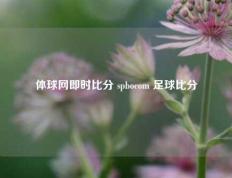 体球网即时比分 spbocom 足球比分