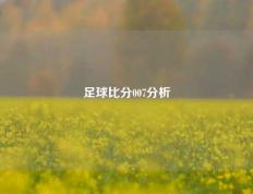 足球比分007分析