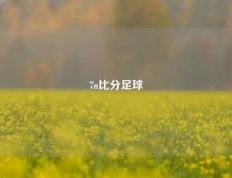 7n比分足球