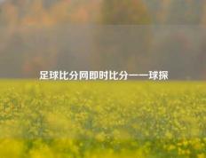 足球比分网即时比分一一球探