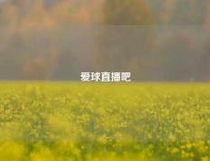 爱球直播吧