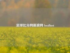 足球比分网新浪网 localhost