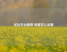 试玩平台棋牌 按键怎么设置