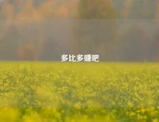 多比多赚吧