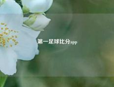 第一足球比分app