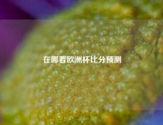 在哪看欧洲杯比分预测
