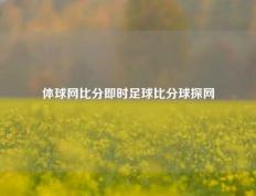 体球网比分即时足球比分球探网