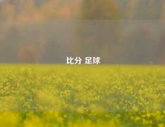 比分 足球