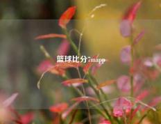 篮球比分7mapp