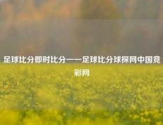 足球比分即时比分一一足球比分球探网中国竞彩网