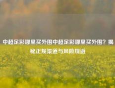 中超足彩哪里买外围中超足彩哪里买外围？揭秘正规渠道与风险规避