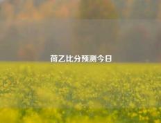 荷乙比分预测今日